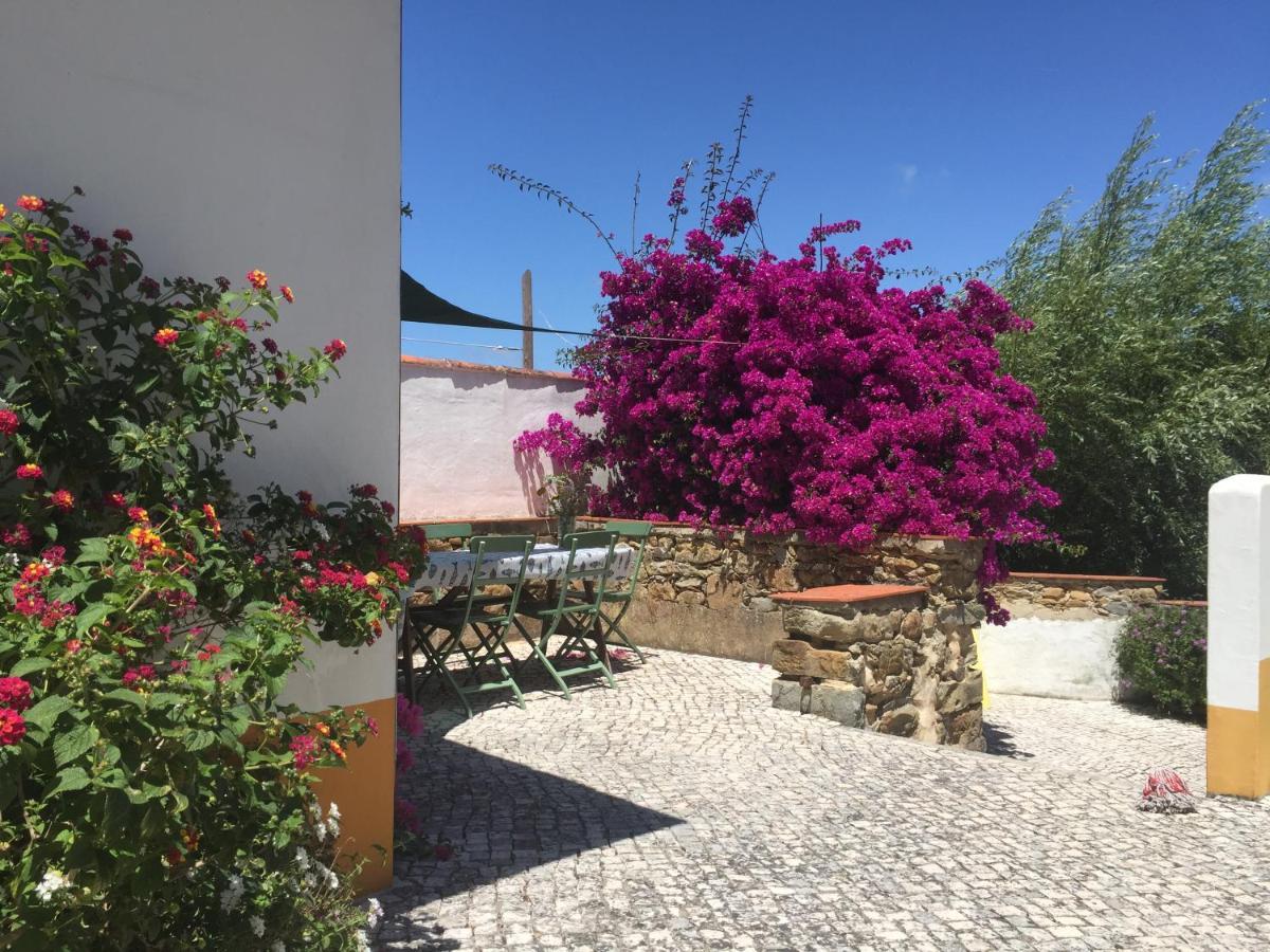 Quinta Laranja - Turismo Rural - Alvorninha エクステリア 写真
