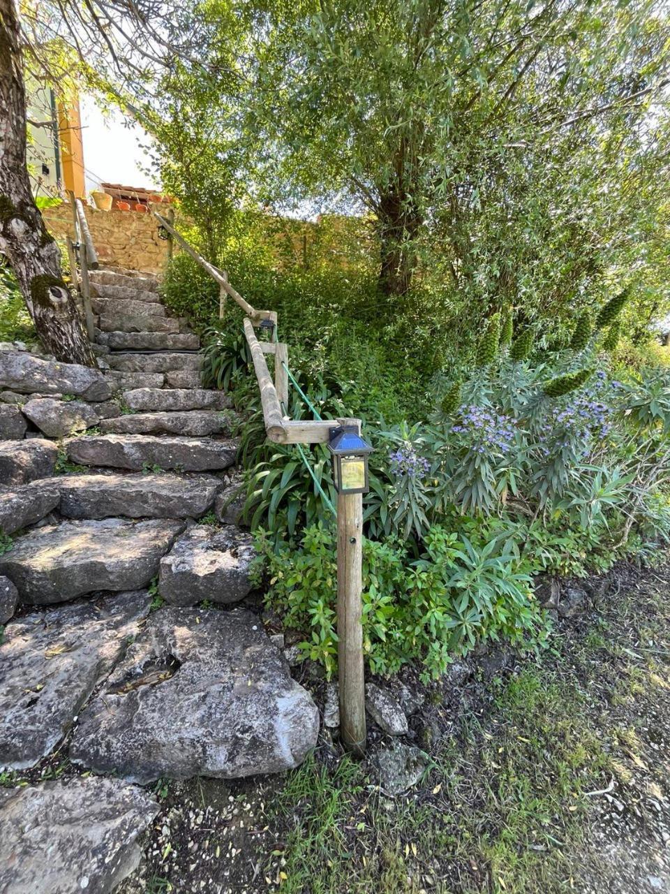 Quinta Laranja - Turismo Rural - Alvorninha エクステリア 写真