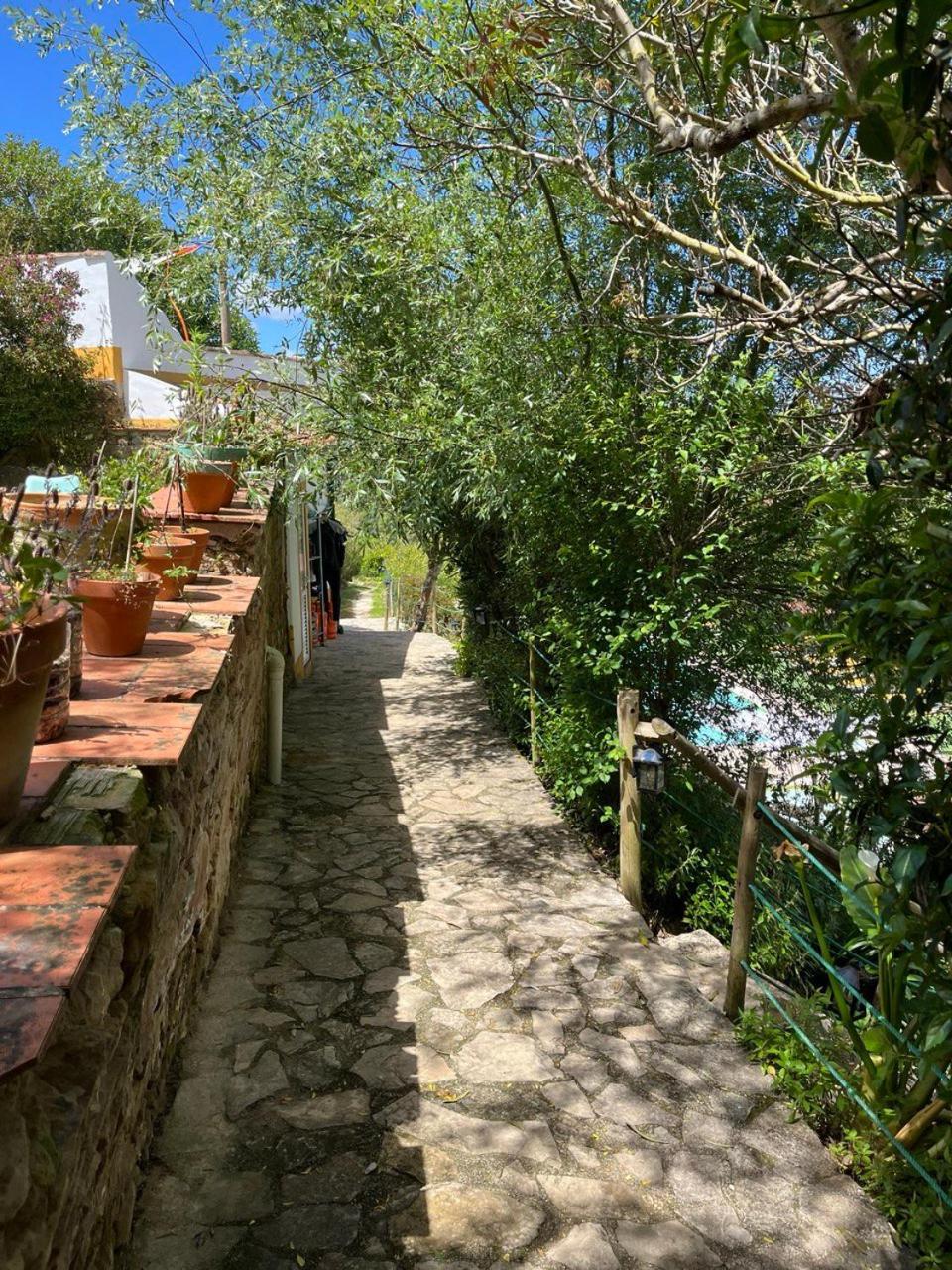 Quinta Laranja - Turismo Rural - Alvorninha エクステリア 写真