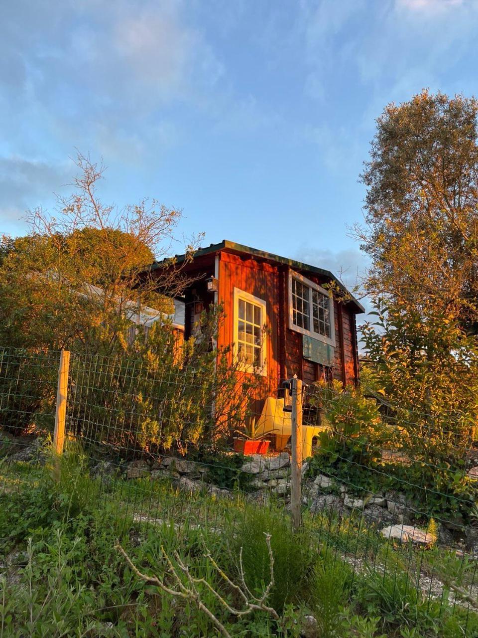 Quinta Laranja - Turismo Rural - Alvorninha エクステリア 写真