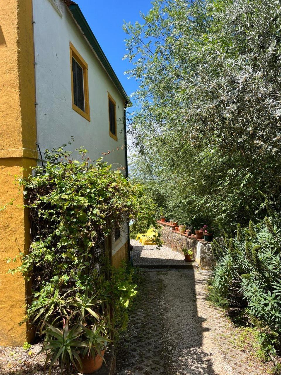 Quinta Laranja - Turismo Rural - Alvorninha エクステリア 写真