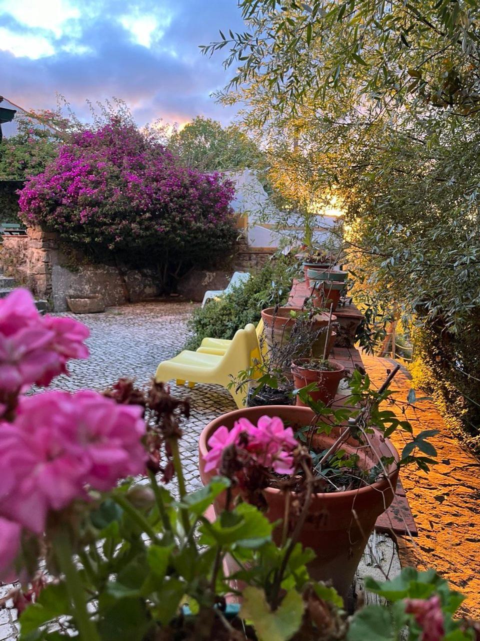 Quinta Laranja - Turismo Rural - Alvorninha エクステリア 写真