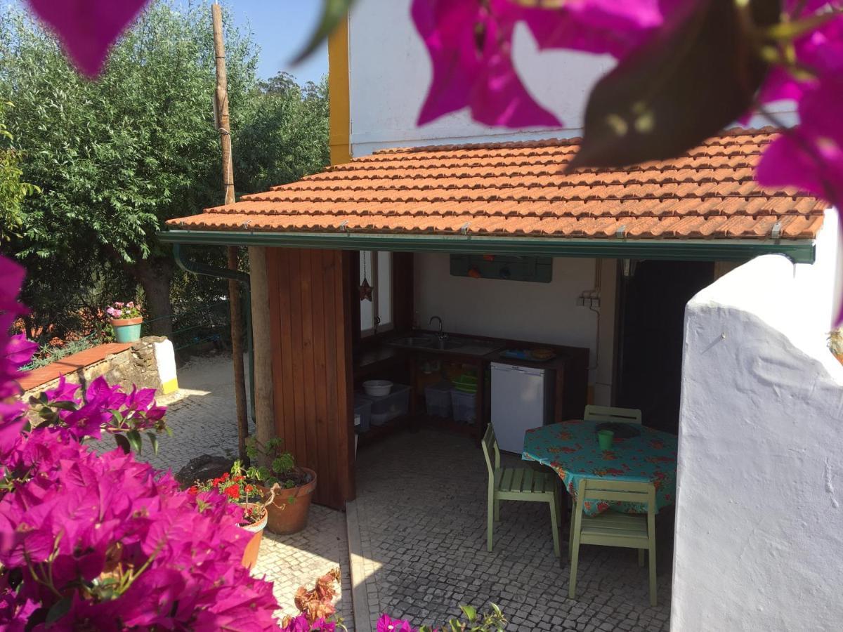 Quinta Laranja - Turismo Rural - Alvorninha エクステリア 写真